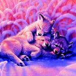 madison - Instagram Profile Picture of madison (@rebeccakeever2018) on Instagram