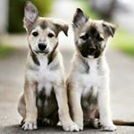 Profile Picture of jaden duncan (@jadenduncan4) on Instagram