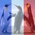 Pam Freeman Chavers - Instagram Profile Picture of Pam Freeman Chavers (@pamchavers) on Instagram