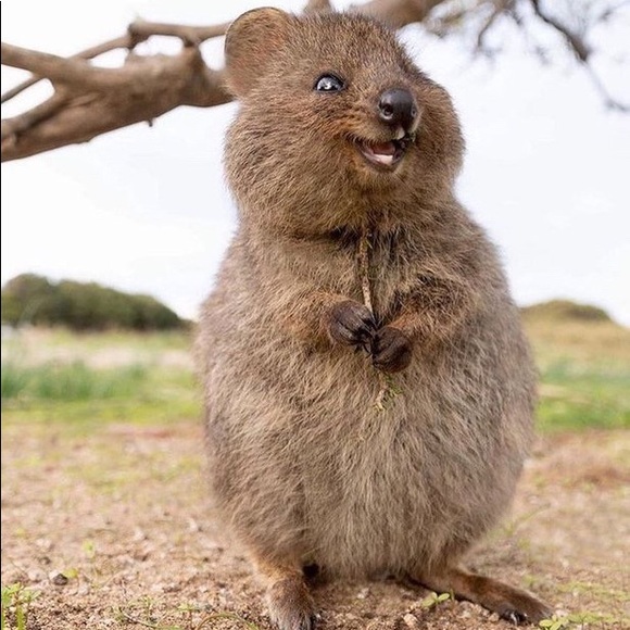 Profile Picture of Julia Tian (@juuutiii) on Poshmark