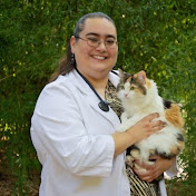 Profile Picture of Darlene Sanchez (@dosanchez1) on Youtube