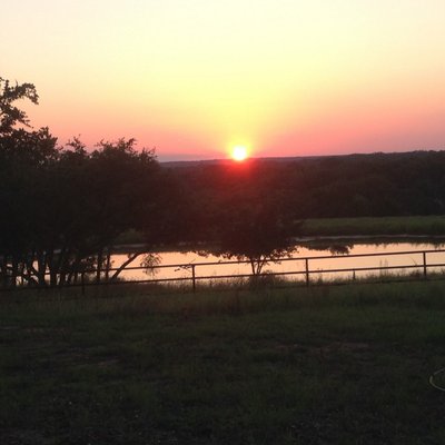 Robin Schiller - Twitter Profile Picture of Robin Schiller (@Rrhdk) on Twitter