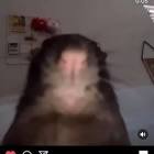 Profile Picture of   adelchy_69 (@adelchy_69)... (@adelchy_69) on Tiktok