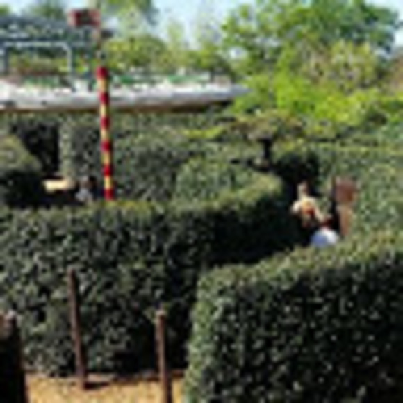 Profile Picture of David Cox (@davidcox3912) on Poshmark