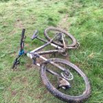 Profile Picture of Harry Tritton (@harry_tritton_) on Instagram