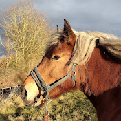 Profile Picture of Peter Axtell (@peteraxtell3431) on Youtube