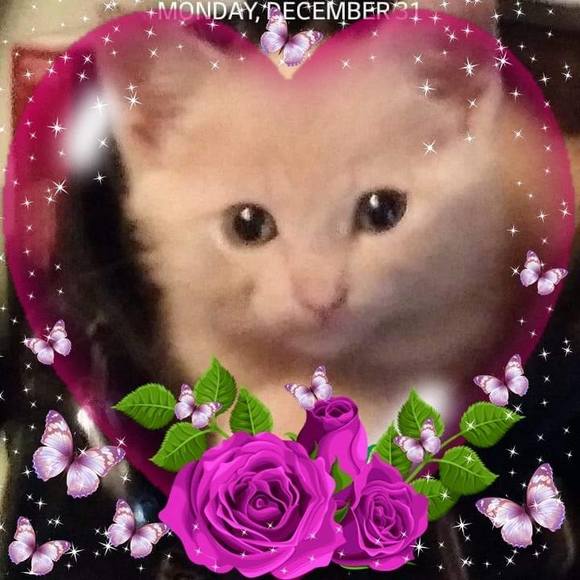 Profile Picture of Donna Jarvis (@donna_1936) on Poshmark