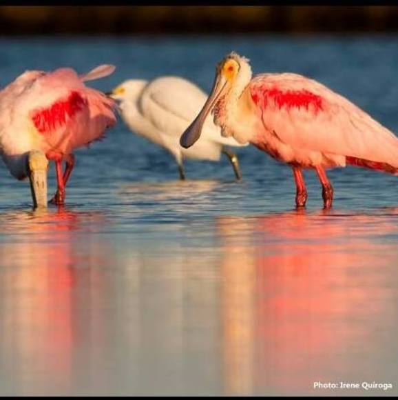 Jane Kubitz - Poshmark Profile Picture of Jane Kubitz (@makdjk) on Poshmark