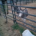 Profile Picture of Gene Kucinski (@Gene-Kucinski) on Facebook