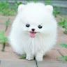 Profile Picture of Awaiixa . (@alexamichalec2007) on Pinterest