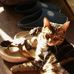 Profile Picture of Merlin Holmes (@merlin.holmes.1) on Facebook