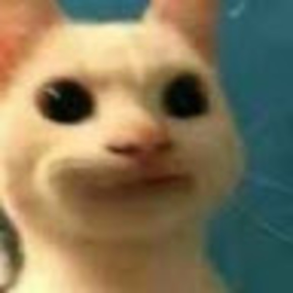 Profile Picture of Riley Rosdahl (@riyster19) on Poshmark