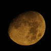 Profile Picture of Mallkin (@Mallkin) on Flickr
