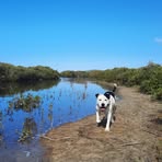 Profile Picture of George Cox (@george.cox.179952) on Facebook