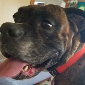 Profile Picture of Jacob Bork (@jacobbork) on Tiktok