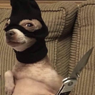 Profile Picture of Ya_boyy_Brian (@BrianValente4) on Twitter