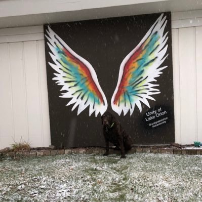 Profile Picture of Bob_Robertson (@sportsdadbob) on Twitter