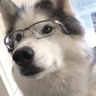 Profile Picture of Clay (@milaza_zo) on Twitter