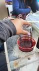 Profile Picture of   A Kern's tequilita cocktail... (@lezlieizcrazy) on Tiktok