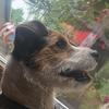Profile Picture of kimstaley780 (@@kimstaley780) on Tiktok
