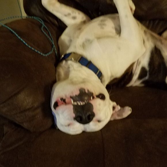 Profile Picture of Casey Rauser (@caseyrauser) on Poshmark