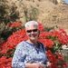 Profile Picture of JoAnn Bainbridge (@joannbainbridge) on Pinterest
