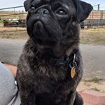 Profile Picture of Christine Darley (@christine.darley.35) on Instagram