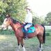 Profile Picture of Julius Keimer (@juliuskeimer) on Pinterest