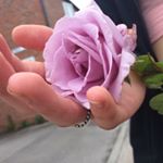 Destiny Wickham - Instagram Profile Picture of Destiny Wickham (@photography_backup_account) on Instagram