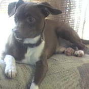 Profile Picture of Kimberly Rush (@picksey316) on Youtube