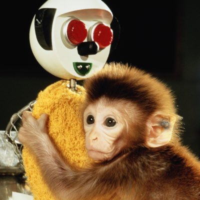 Profile Picture of Scott H. Hawley (@drscotthawley) on Twitter