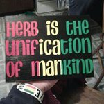 Profile Picture of Marc Acevedo (@acevedomarc) on Instagram