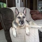Profile Picture of Vicki Keith (@keithvicki) on Instagram
