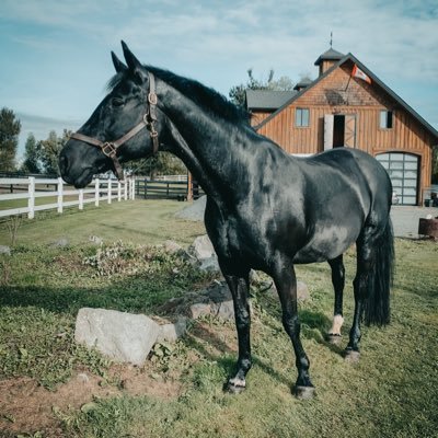 Profile Picture of K Y L E E B I R D (@KYLEEBeventing) on Twitter