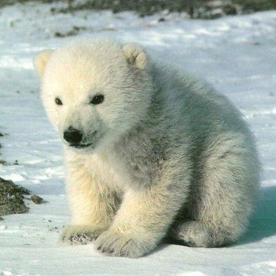 Profile Picture of Aleksandr Moroz (@Aleks_Moroz) on Twitter