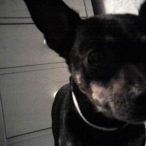 Profile Picture of Bri Watkins (@433736575) on Myspace