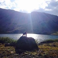 Profile Picture of Amanda Fournier (@amanda-fournier-7) on Quora