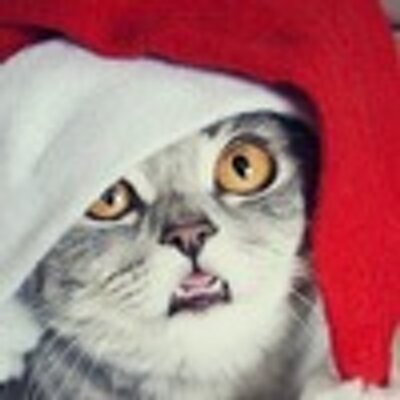 Profile Picture of Darlene Wiggins (@darlene_randall) on Twitter