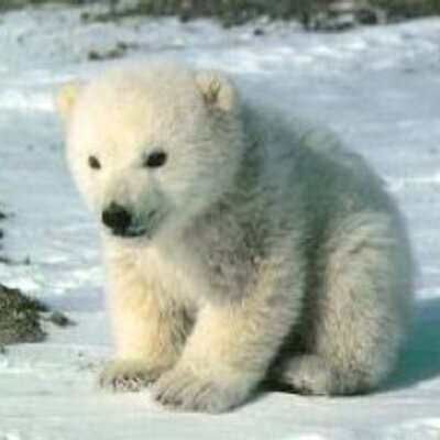 Profile Picture of Justin Jiang (@Justin020707) on Twitter