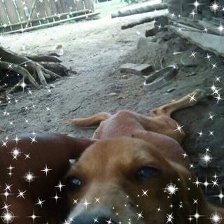 Profile Picture of James Jemoras (@james.jemoras.1) on Facebook