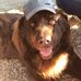 Profile Picture of Peter Mertens (@peter.mertens.10) on Facebook