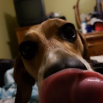 Profile Picture of Bailey Palmer (@mkep149) on Twitter