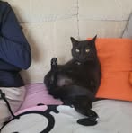 Profile Picture of Nancy Reitenbach (@nancy.reitenbach.16) on Facebook