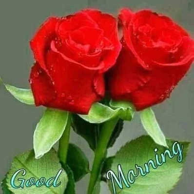 Profile Picture of Harnish Shah (@harnishshah2779) on Twitter