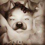 Profile Picture of robert.trowbridge (@this_lonley_wolf) on Instagram
