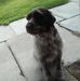 Profile Picture of Eric Labbe (@eric.labbe.102) on Facebook