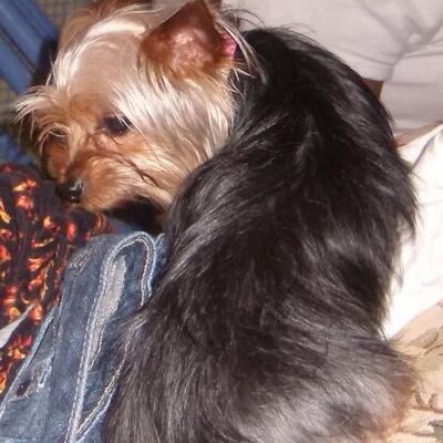 Profile Picture of Randie Bailey (@baileyrandie) on Twitter