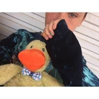 Profile Picture of Sam Talbot (@sam-talbot-16) on Quora