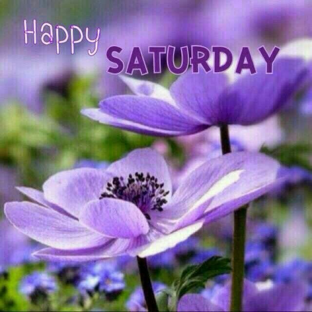 Profile Picture of Crystal Rasberry (@magicblossomcrystal) on Tiktok