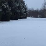 Profile Picture of Lorrie Wallace Cole (@cameogables7) on Instagram